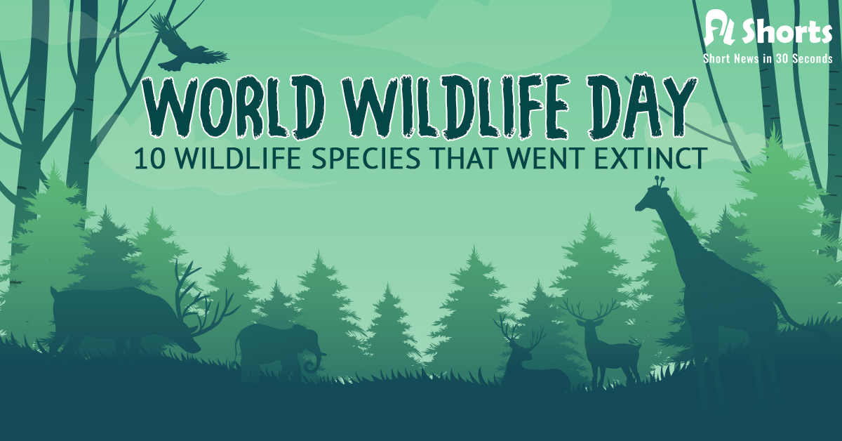 World Wildlife Day 2021 How Humans Drove These Wildlife Species To